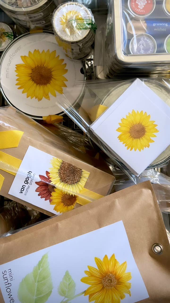 Garden in a Bag | Sunflower | Flower lover | Best Seller